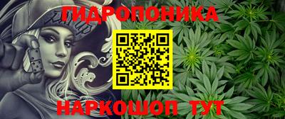 ALPHA PVP Бийск