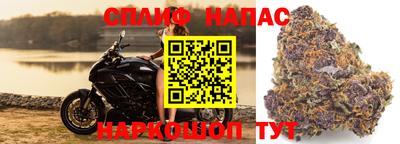 кокаин Берёзовский